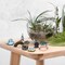 12 Pieces Garden Accessories Miniature Bridge Mini Lighthouse Water Well Bridge Figurines Pond Lawn Garden Ornament Figurines for DIY Craft Garden Decor (Classic Style)